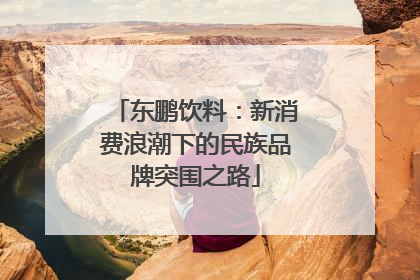 东鹏饮料：新消费浪潮下的民族品牌突围之路