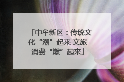 中牟新区：传统文化“潮”起来 文旅消费“燃”起来