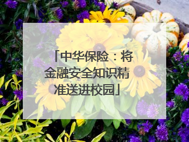 中华保险：将金融安全知识精准送进校园