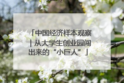 中国经济样本观察｜从大学生创业园闯出来的“小巨人”
