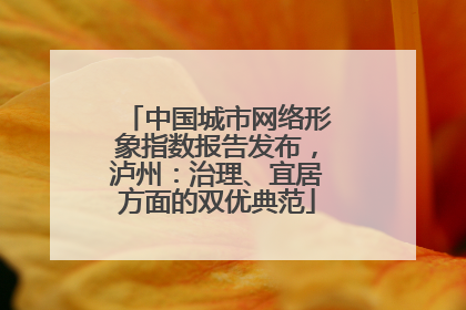 中国城市网络形象指数报告发布，泸州：治理、宜居方面的双优典范