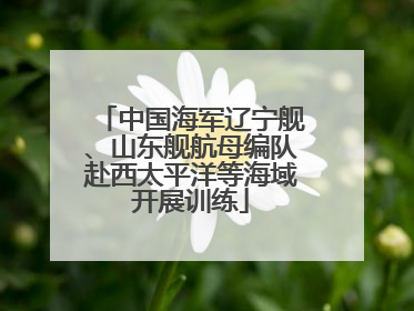 中国海军辽宁舰、山东舰航母编队赴西太平洋等海域开展训练