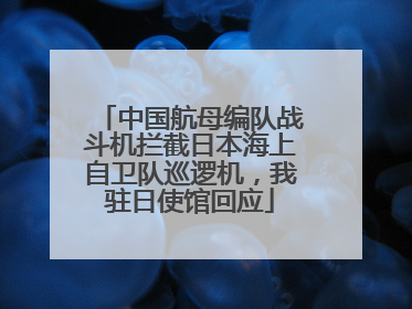 中国航母编队战斗机拦截日本海上自卫队巡逻机，我驻日使馆回应