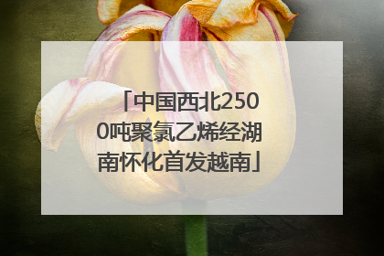 中国西北2500吨聚氯乙烯经湖南怀化首发越南