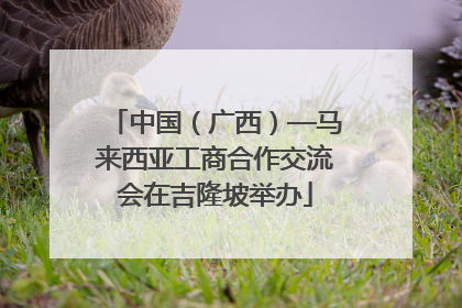 中国（广西）—马来西亚工商合作交流会在吉隆坡举办