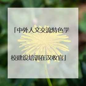 中外人文交流特色学校建设培训在汉收官
