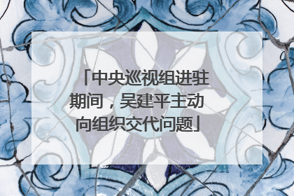 中央巡视组进驻期间，吴建平主动向组织交代问题