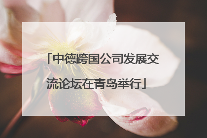 中德跨国公司发展交流论坛在青岛举行