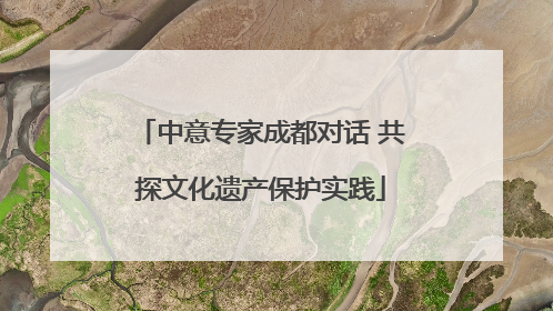 中意专家成都对话 共探文化遗产保护实践