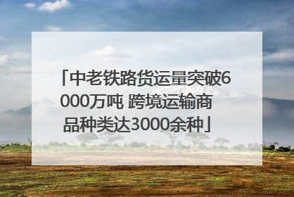 中老铁路货运量突破6000万吨 跨境运输商品种类达3000余种