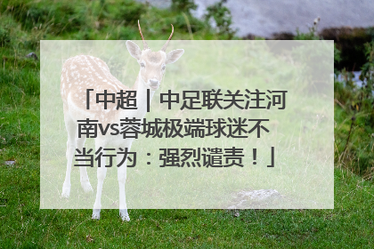 中超｜中足联关注河南vs蓉城极端球迷不当行为：强烈谴责！