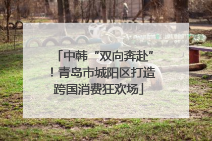 中韩“双向奔赴”！青岛市城阳区打造跨国消费狂欢场