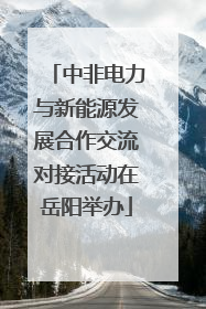 中非电力与新能源发展合作交流对接活动在岳阳举办