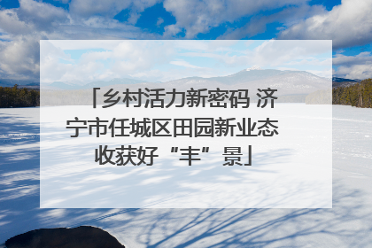 乡村活力新密码 济宁市任城区田园新业态收获好“丰”景