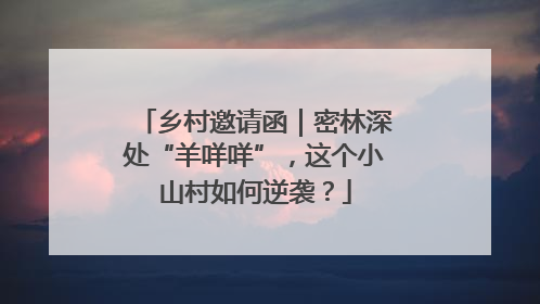 乡村邀请函｜密林深处“羊咩咩”，这个小山村如何逆袭？
