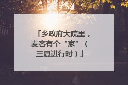乡政府大院里，麦客有个“家”（三夏进行时）