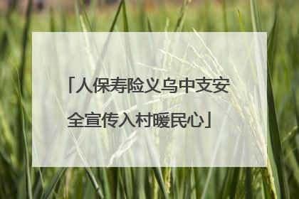 人保寿险义乌中支安全宣传入村暖民心