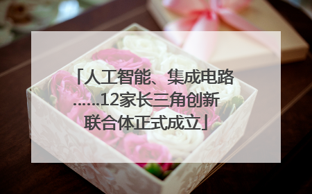 人工智能、集成电路……12家长三角创新联合体正式成立