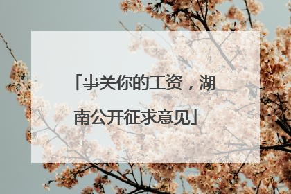 事关你的工资，湖南公开征求意见