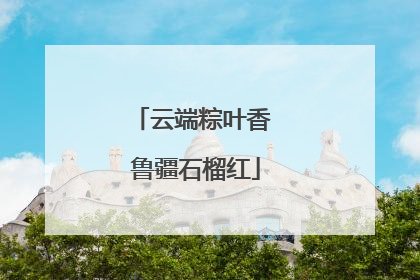 云端粽叶香 鲁疆石榴红