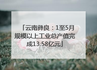 云南彝良：1至5月规模以上工业总产值完成13.58亿元