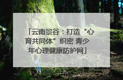云南景谷：打造“心育共同体”织密 青少年心理健康防护网