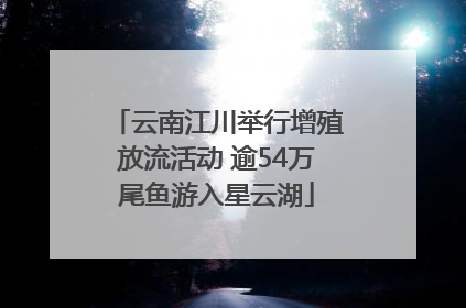 云南江川举行增殖放流活动 逾54万尾鱼游入星云湖