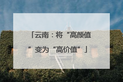 云南：将“高颜值”变为“高价值”