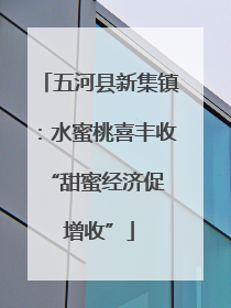 五河县新集镇：水蜜桃喜丰收 “甜蜜经济促增收”