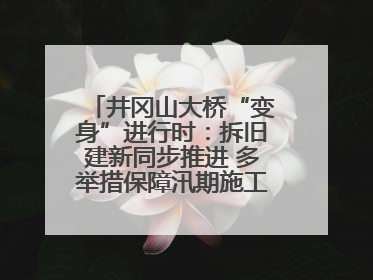 井冈山大桥“变身”进行时：拆旧建新同步推进 多举措保障汛期施工（图）