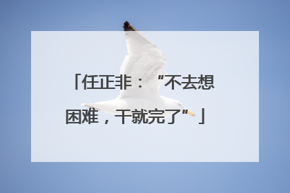 任正非：“不去想困难，干就完了”
