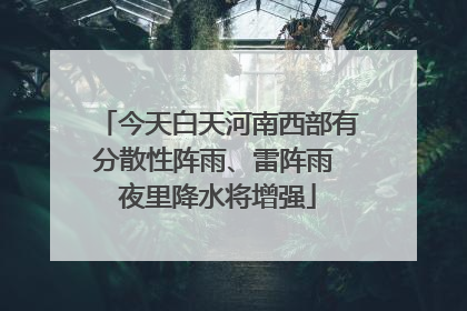 今天白天河南西部有分散性阵雨、雷阵雨 夜里降水将增强