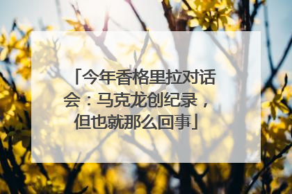 今年香格里拉对话会：马克龙创纪录，但也就那么回事