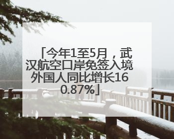 今年1至5月，武汉航空口岸免签入境外国人同比增长160.87%