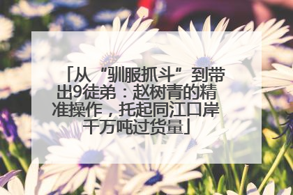从“驯服抓斗”到带出9徒弟：赵树青的精准操作，托起同江口岸千万吨过货量