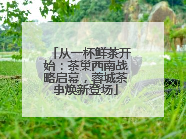从一杯鲜茶开始：茶巢西南战略启幕，蓉城茶事焕新登场