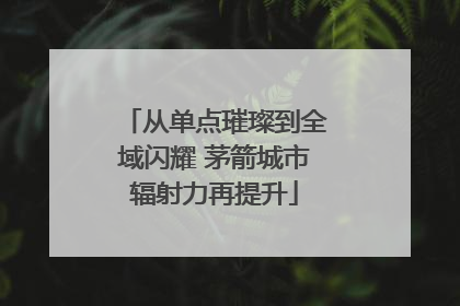 从单点璀璨到全域闪耀 茅箭城市辐射力再提升