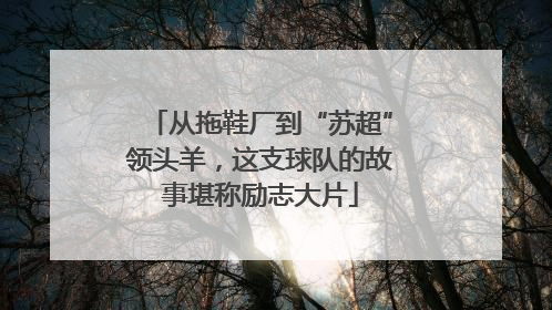 从拖鞋厂到“苏超”领头羊，这支球队的故事堪称励志大片