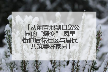 从闲置地到口袋公园的“蝶变” 凤里街道后花社区与居民共筑美好家园