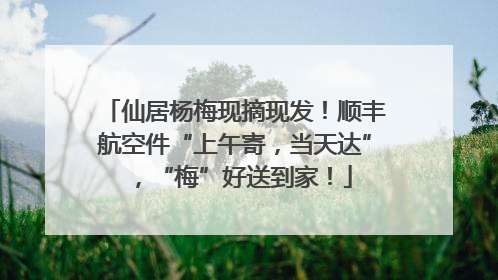 仙居杨梅现摘现发！顺丰航空件“上午寄，当天达”，“梅”好送到家！