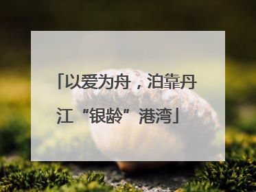 以爱为舟，泊靠丹江“银龄”港湾