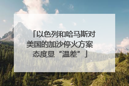以色列和哈马斯对美国的加沙停火方案态度显“温差”