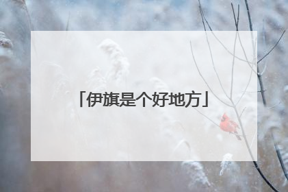伊旗是个好地方