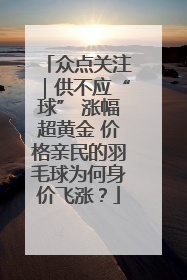 众点关注｜供不应“球” 涨幅超黄金 价格亲民的羽毛球为何身价飞涨？