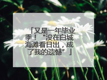 又是一年毕业季！“没在白城海滩看日出，成了我的遗憾”
