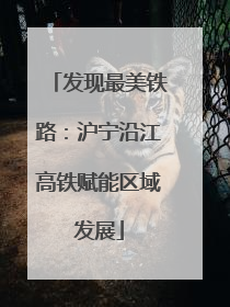 发现最美铁路：沪宁沿江高铁赋能区域发展