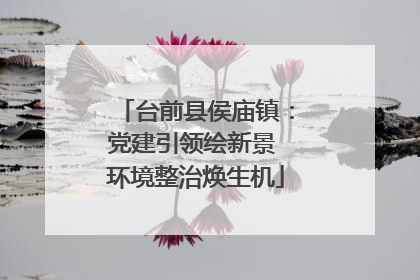 台前县侯庙镇：党建引领绘新景 环境整治焕生机