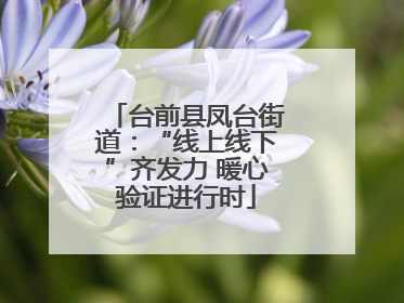 台前县凤台街道：“线上线下”齐发力 暖心验证进行时