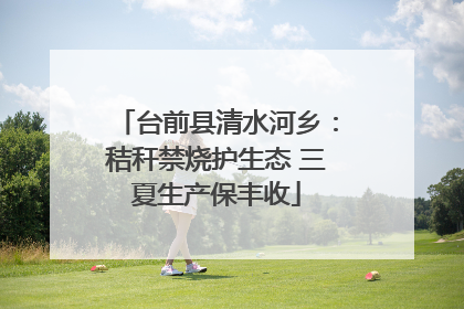 台前县清水河乡：秸秆禁烧护生态 三夏生产保丰收