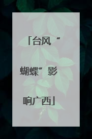 台风“蝴蝶”影响广西